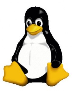 Linux Pinguin official image